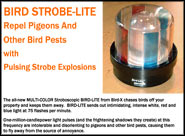 Bird Strobe Lite