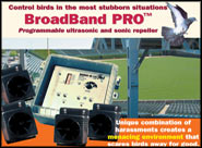 BroadBand Pro