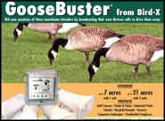 GooseBuster
