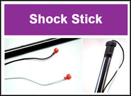 Shock Stick