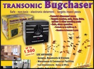 Transonic Bugchaser