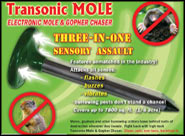 Transonic Mole