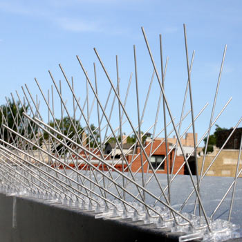 Outdoor Bird Control Spikes