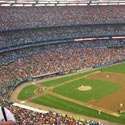 Bird Control for Sports Venues