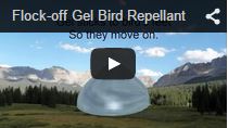 Video Flock Off! Bird Gel