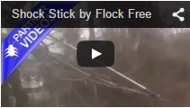 Video Shock Stick for Trees