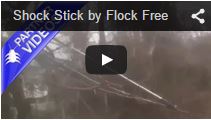 Video Shock Stick for Trees