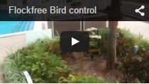 Video Tweetzilla Bird Hazer