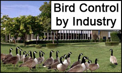 Bird Control by Industry